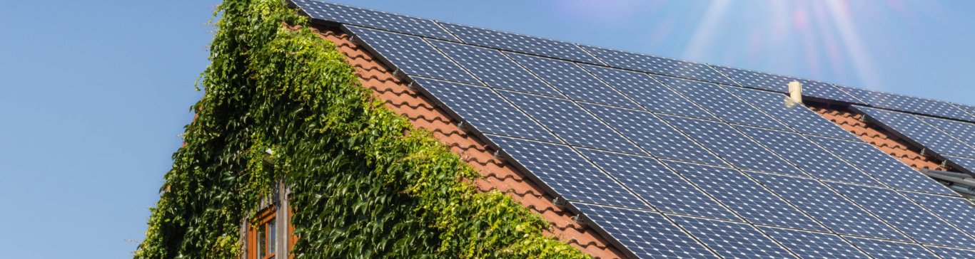 Haus mit Efeu bewachsener Fassade und Photovoltaik-Anlage auf dem Dach. Vom blauen Himmel scheint die Sonne