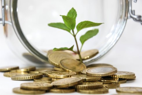 Geld Finanzen Auf mehreren Münzen wächst ein zartes Pflänzchen.