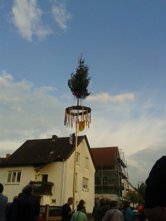 Maibaum in Altenhaßlau Maibaum in Altenhaßlau gegen den blauen Himmel fotografiert.