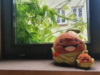 Das Linsi-Maskottchen sitzt mit seinem Mini-Me auf einem Fensterbrett