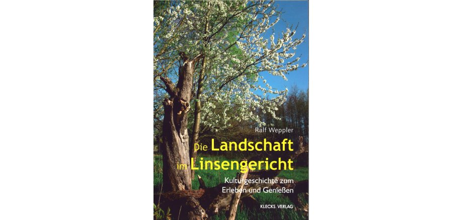 Cover des Buches "Die Landschaft im Linsengericht"