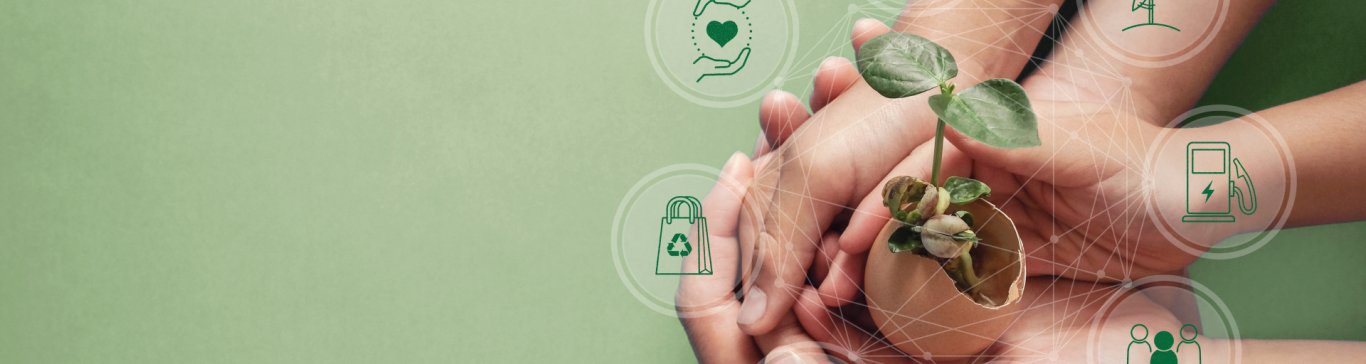 Hands holding seedling in eggshell with circular economy icons, CSR social responsibility, eco green sustainable living concept