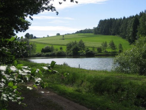 Krötenweiher in Großenhausen
