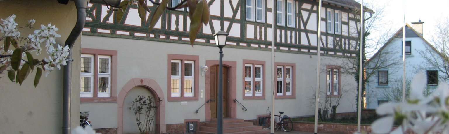 Seitliche Aufnahme des Rathauses im Frühling