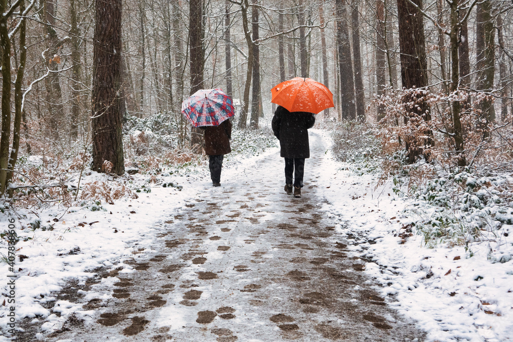 Spaziergänger mit Regenschirm in der Hand laufen durch den Wald