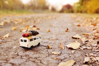 Ein Miniatur-VW-Bulli, auf dem Waldfrüchte des Herbstes liegen auf einem Feldweg