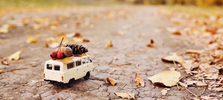 Ein Miniatur-VW-Bulli, auf dem Waldfrüchte des Herbstes liegen auf einem Feldweg
