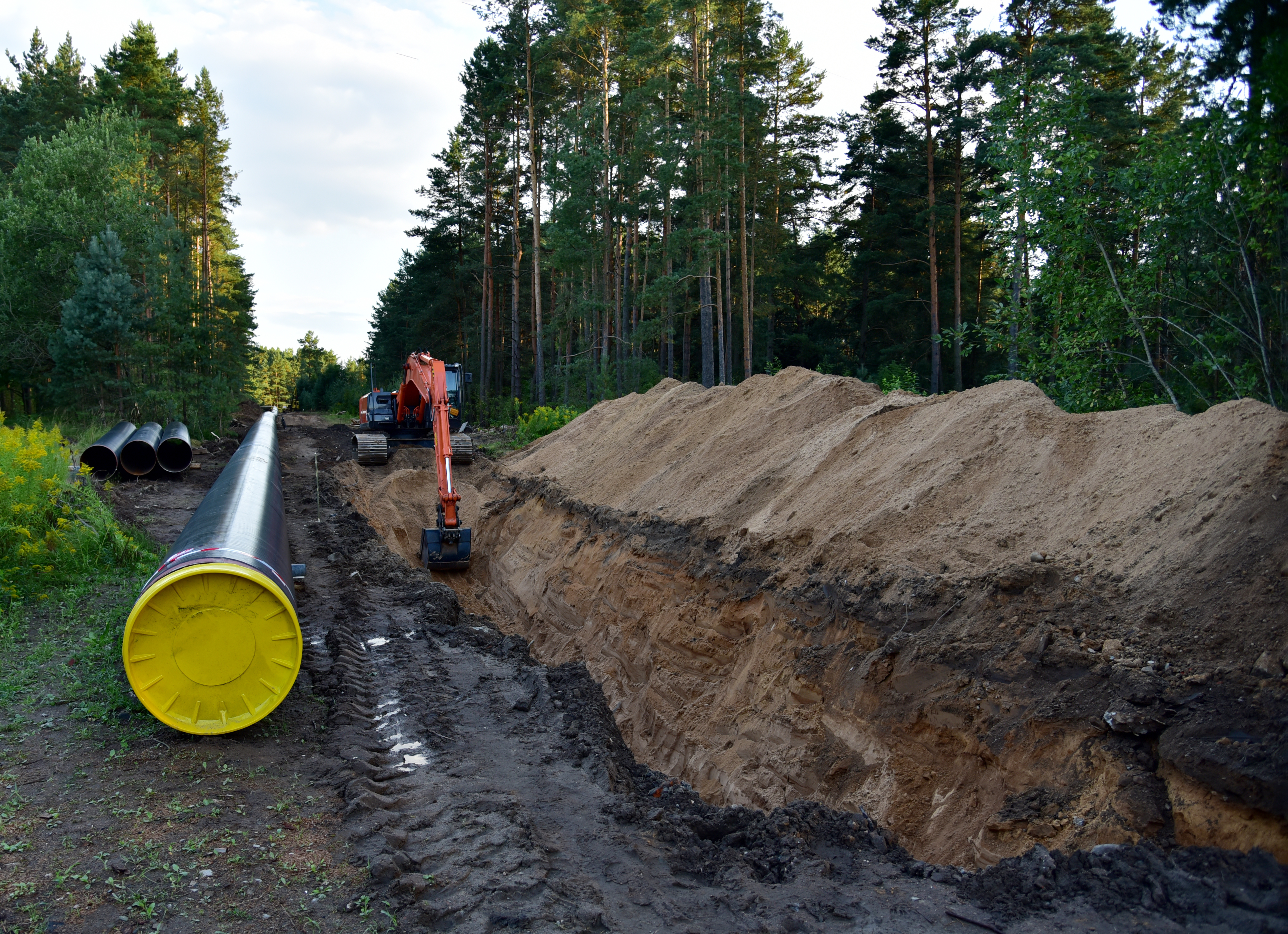 Excavator digging trench in ground for laying pipeline of natural gas. Building of transit petrochemical pipe in forest area. Carry diluted bitumen and crude to international markets. Oil and gas